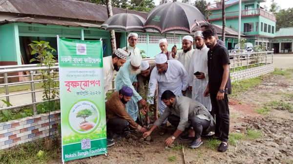 সবুজ বাংলা বিনির্মানে বৃক্ষরোপণে সবাই এগিয়ে আসুন: এমপি মুফতি আবুল হাসান